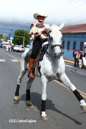 Desfile hípico en Granada para celebrar 500 años de historia