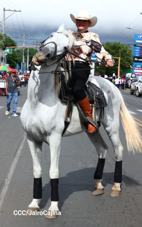 Desfile hípico en Granada para celebrar 500 años de historia