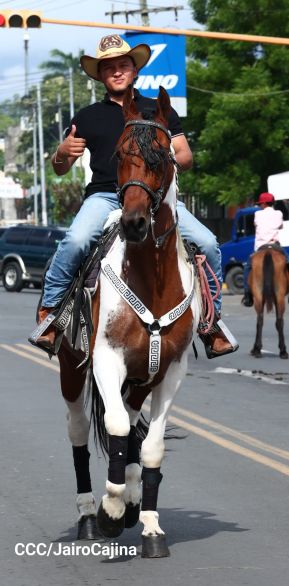 Desfile hípico en Granada para celebrar 500 años de historia
