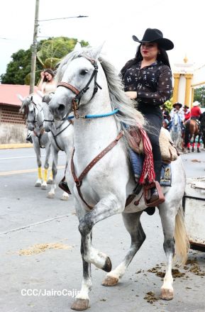 Desfile hípico en Granada para celebrar 500 años de historia