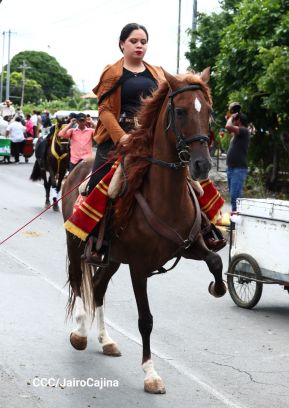 Desfile hípico en Granada para celebrar 500 años de historia