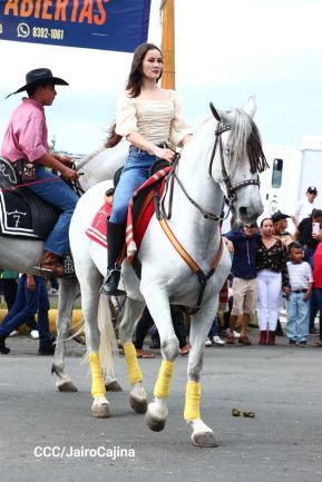 Desfile hípico en Granada para celebrar 500 años de historia