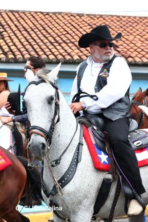 Desfile hípico en Granada para celebrar 500 años de historia