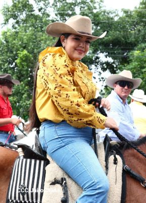 Desfile hípico en Granada para celebrar 500 años de historia