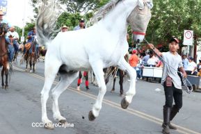 Desfile hípico en Granada para celebrar 500 años de historia