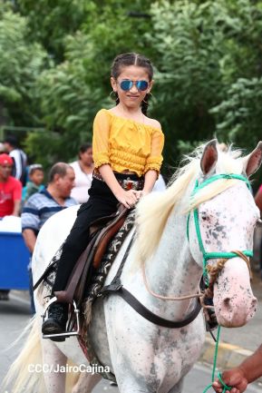 Desfile hípico en Granada para celebrar 500 años de historia