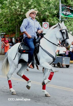 Desfile hípico en Granada para celebrar 500 años de historia