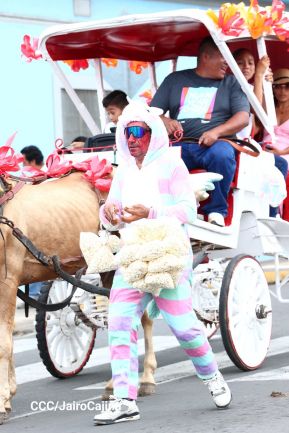 Desfile hípico en Granada para celebrar 500 años de historia