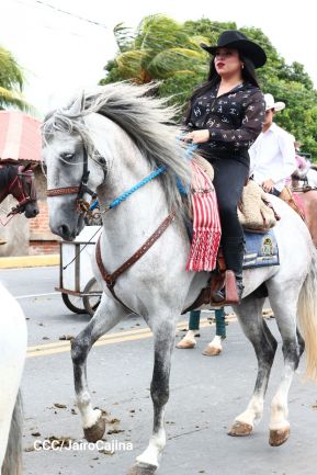 Desfile hípico en Granada para celebrar 500 años de historia
