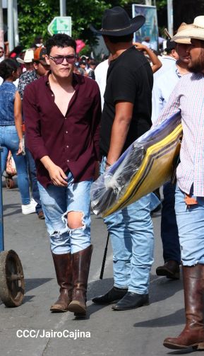 Desfile hípico en Granada para celebrar 500 años de historia