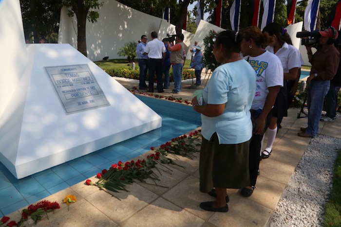 Una Flor para Tomás