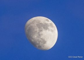 Desfile Escolar 2024 en honor a la gloriosa epopeya de la Batalla de San Jacinto