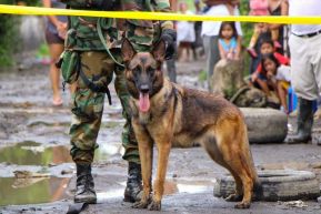 Nicaragüenses participan en el III Ejercicio Nacional de Prevención para Proteger la Vida 2024