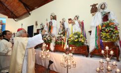Cardenal Brenes celebra a San Antonio de Padua