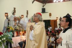 Cardenal Brenes celebra a San Antonio de Padua