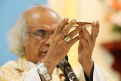 Cardenal Brenes celebra a San Antonio de Padua