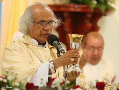 Cardenal Brenes celebra a San Antonio de Padua