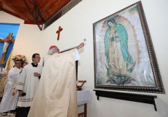 Cardenal Brenes celebra a San Antonio de Padua