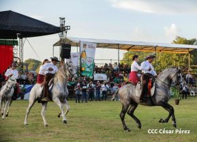 Granada celebra 500 años de fundación con Show Ecuestre e Hípica Nocturna 