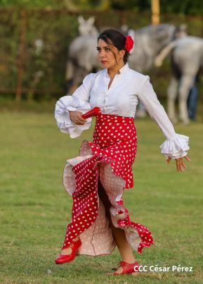 Granada celebra 500 años de fundación con Show Ecuestre e Hípica Nocturna 