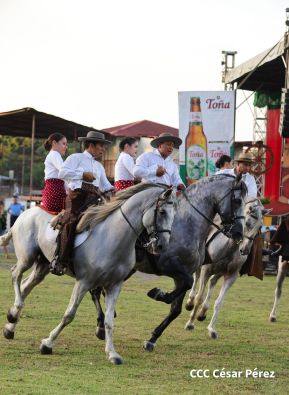 Granada celebra 500 años de fundación con Show Ecuestre e Hípica Nocturna 