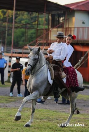 Granada celebra 500 años de fundación con Show Ecuestre e Hípica Nocturna 