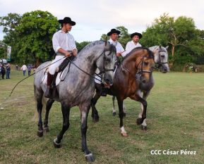 Granada celebra 500 años de fundación con Show Ecuestre e Hípica Nocturna 