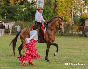 Granada celebra 500 años de fundación con Show Ecuestre e Hípica Nocturna 
