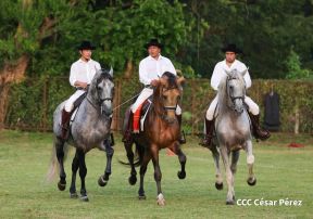 Granada celebra 500 años de fundación con Show Ecuestre e Hípica Nocturna 