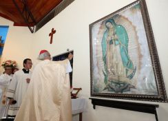 Cardenal Brenes celebra a San Antonio de Padua