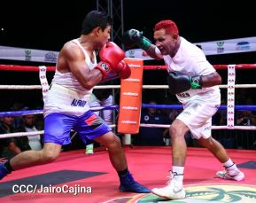 Así se vivió la velada boxística "El Desafío" en el Polideportivo Alexis Argüello