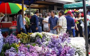 Familias nicaragüenses visitan a sus files difuntos en los distintos cementerios del país