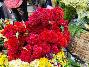 Familias nicaragüenses visitan a sus files difuntos en los distintos cementerios del país