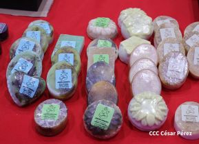 Así se vivió la inauguración de Nicaragua Emprende 