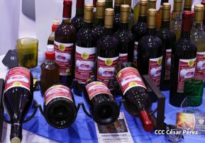 Así se vivió la inauguración de Nicaragua Emprende 