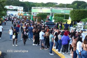 Nicaragüenses cierran ciclos con Aventura