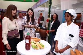 Festival Gastronómico y Tradiciones Navideñas de Nuestros Pueblos 2024