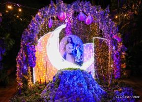 María Tanta Alegría...!