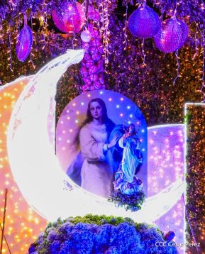 María Tanta Alegría...!