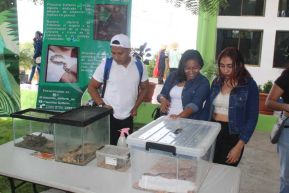 Inicio del Ciclo de Estudio 2025 en Centros de Educación Técnica y Tecnológica