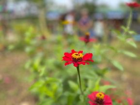 Inicio del Ciclo de Estudio 2025 en Centros de Educación Técnica y Tecnológica