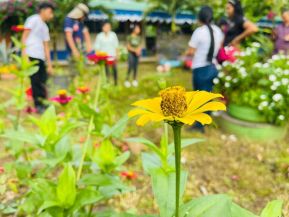 Inicio del Ciclo de Estudio 2025 en Centros de Educación Técnica y Tecnológica