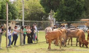 Universidades públicas de Nicaragua reciben a estudiantes de primer ingreso 2025