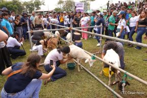 Universidades públicas de Nicaragua reciben a estudiantes de primer ingreso 2025