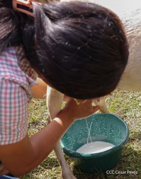 Universidades públicas de Nicaragua reciben a estudiantes de primer ingreso 2025