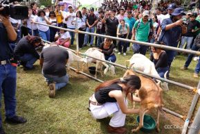 Universidades públicas de Nicaragua reciben a estudiantes de primer ingreso 2025