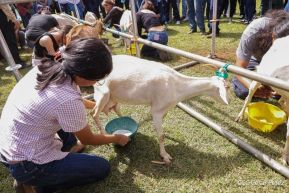 Universidades públicas de Nicaragua reciben a estudiantes de primer ingreso 2025
