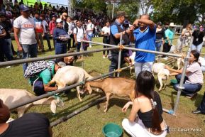 Universidades públicas de Nicaragua reciben a estudiantes de primer ingreso 2025