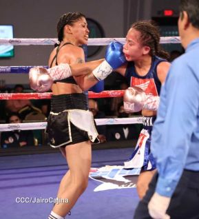 Velada boxística “La Venganza” en el Centro de Convenciones Olof Palme