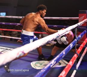 Velada boxística “La Venganza” en el Centro de Convenciones Olof Palme